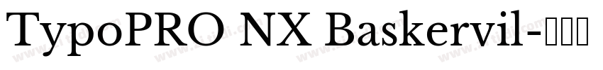 TypoPRO NX Baskervil字体转换
